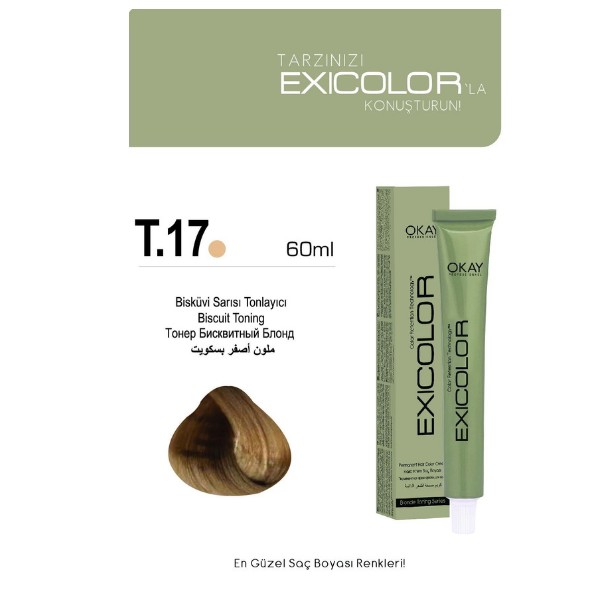 Exicolor Tüp 60ml T.17 BİSKVİ SARISI TONLAYICI