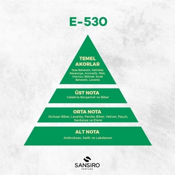 Sansiro E-530 Erkek Parfüm Edp 50 Ml