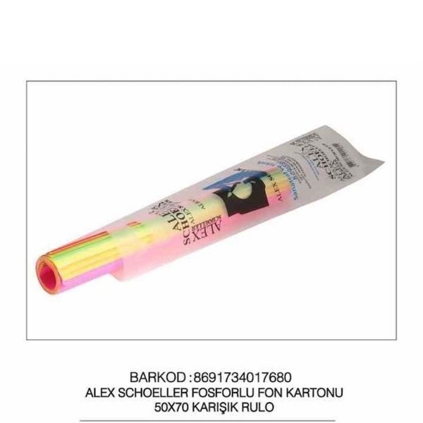 Alex Schoeller 50x70 Fon Kartonu 160 Gr 10"lu Karışık Renk