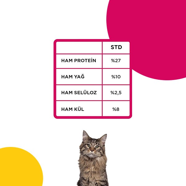 Econature Tavuklu Yetişkin Kedi Maması Sarı Ambalaj 15 Kg