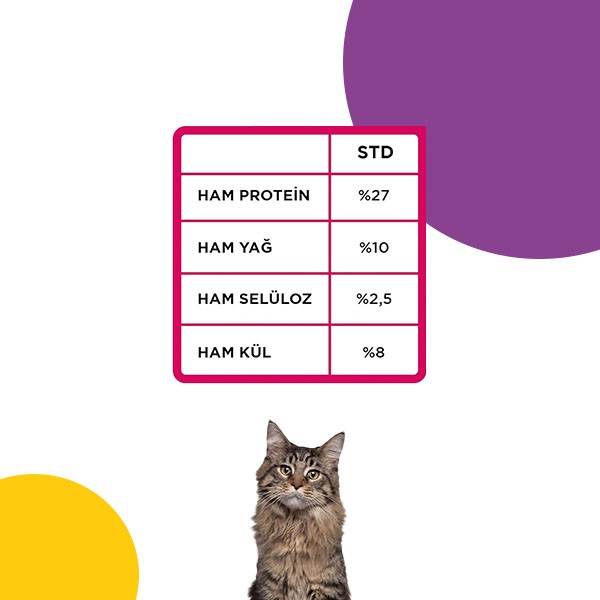 Econature Yetişkin Gurme Kedi Maması 1 Kg