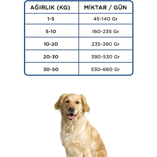 Econature Plus Somonlu Yetişkin Köpek Maması 15 Kg