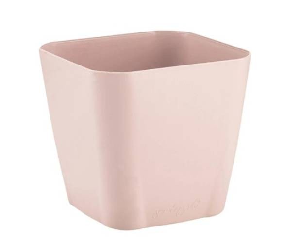 SAFİR SAKSI GÖVDE 2 NO  Gül Kurusu