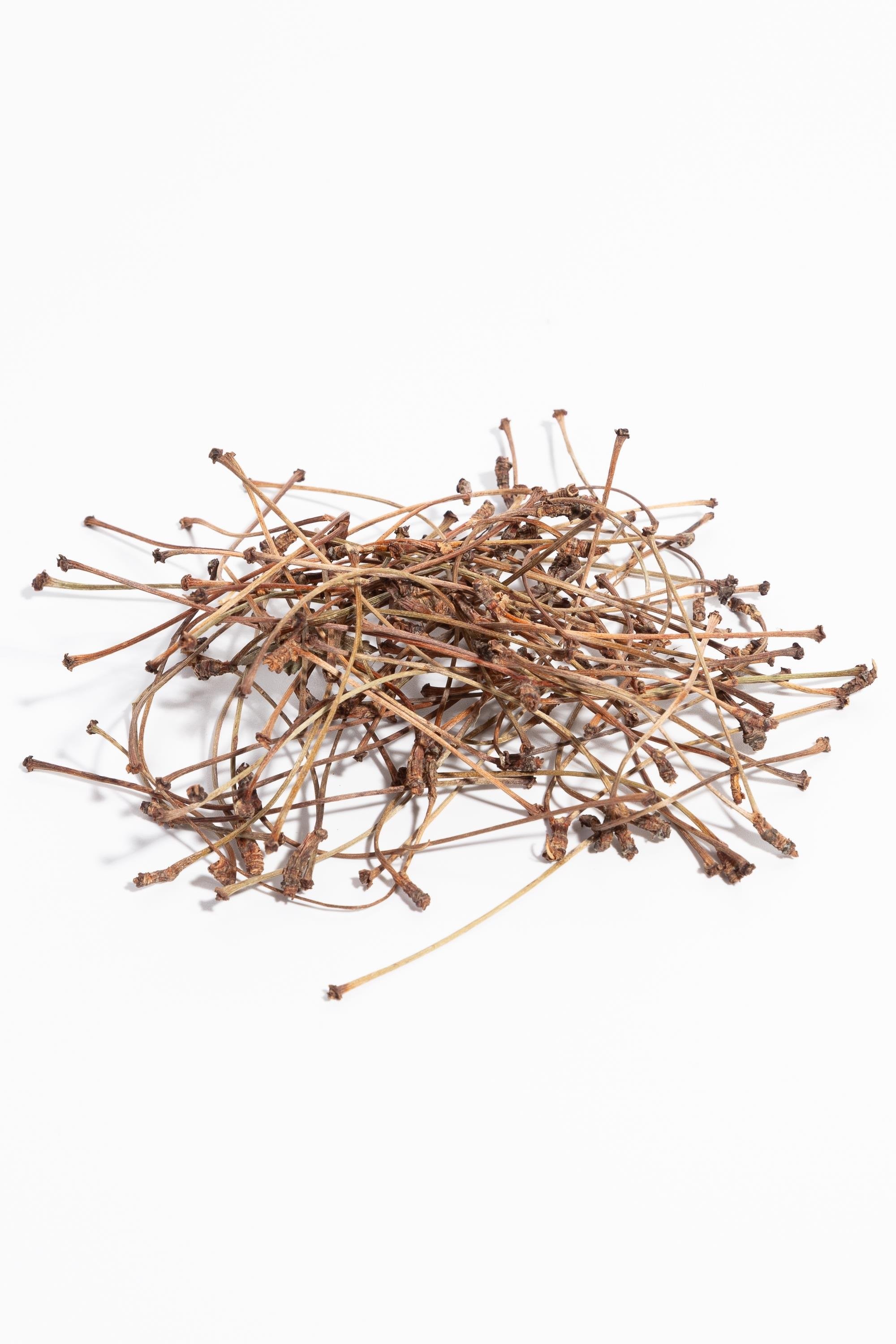 Sudelife Kiraz Sapı 30 G