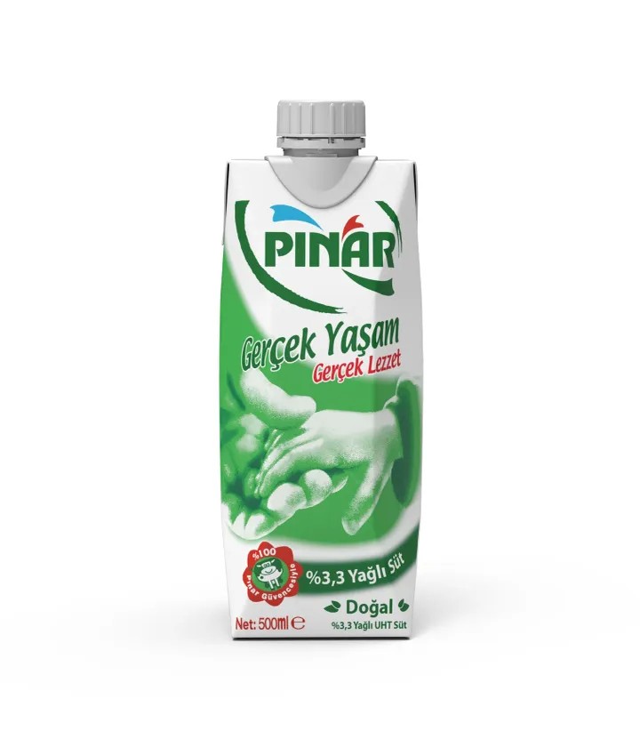 Yorgan İğnesi Renkli 50 Li Td-009