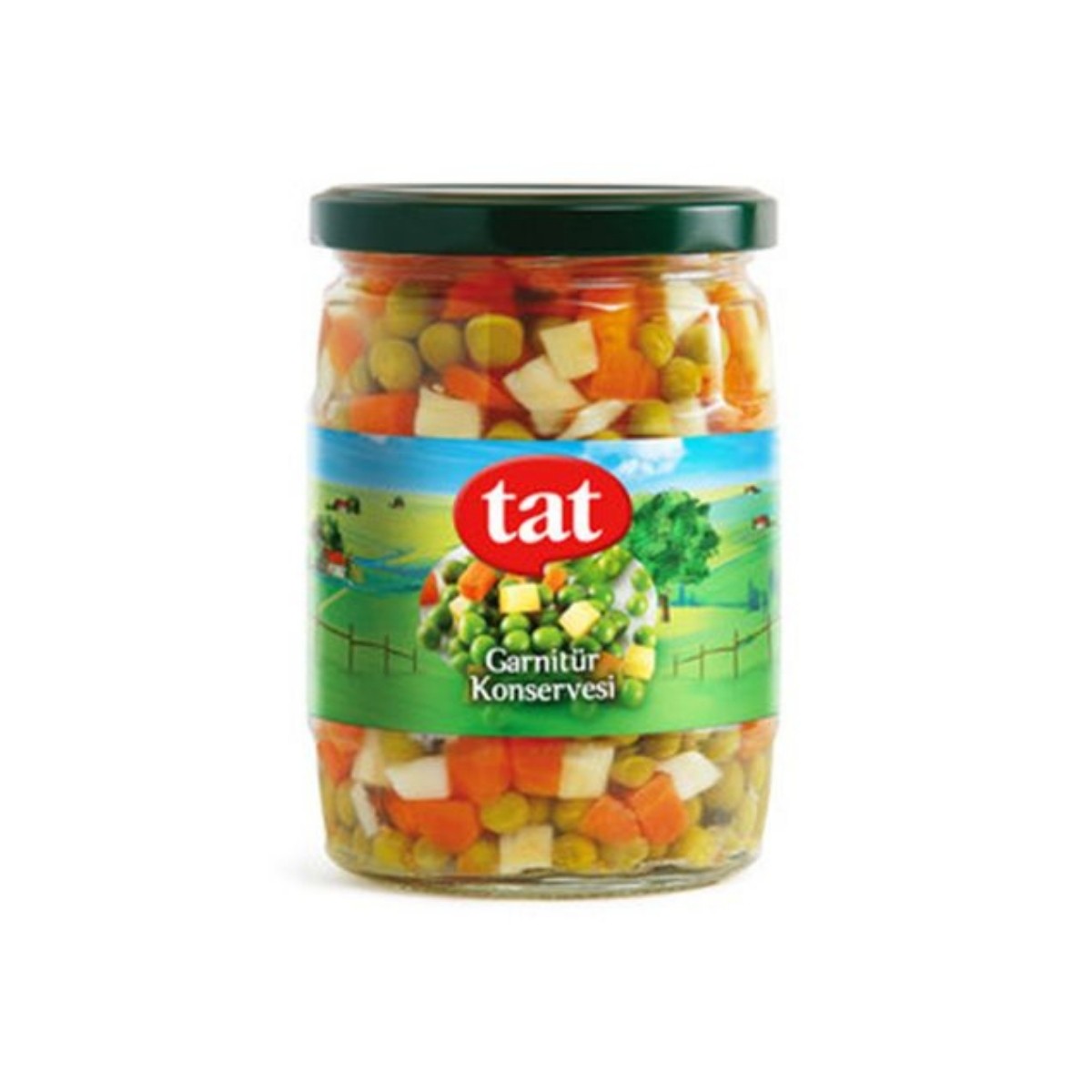 Tat Garnitür Cam 370 G