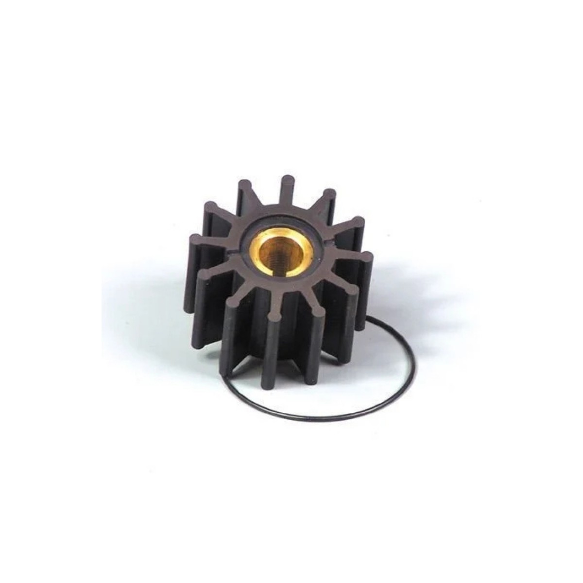 JABSCO IMPELLER LASTİĞİ 18838