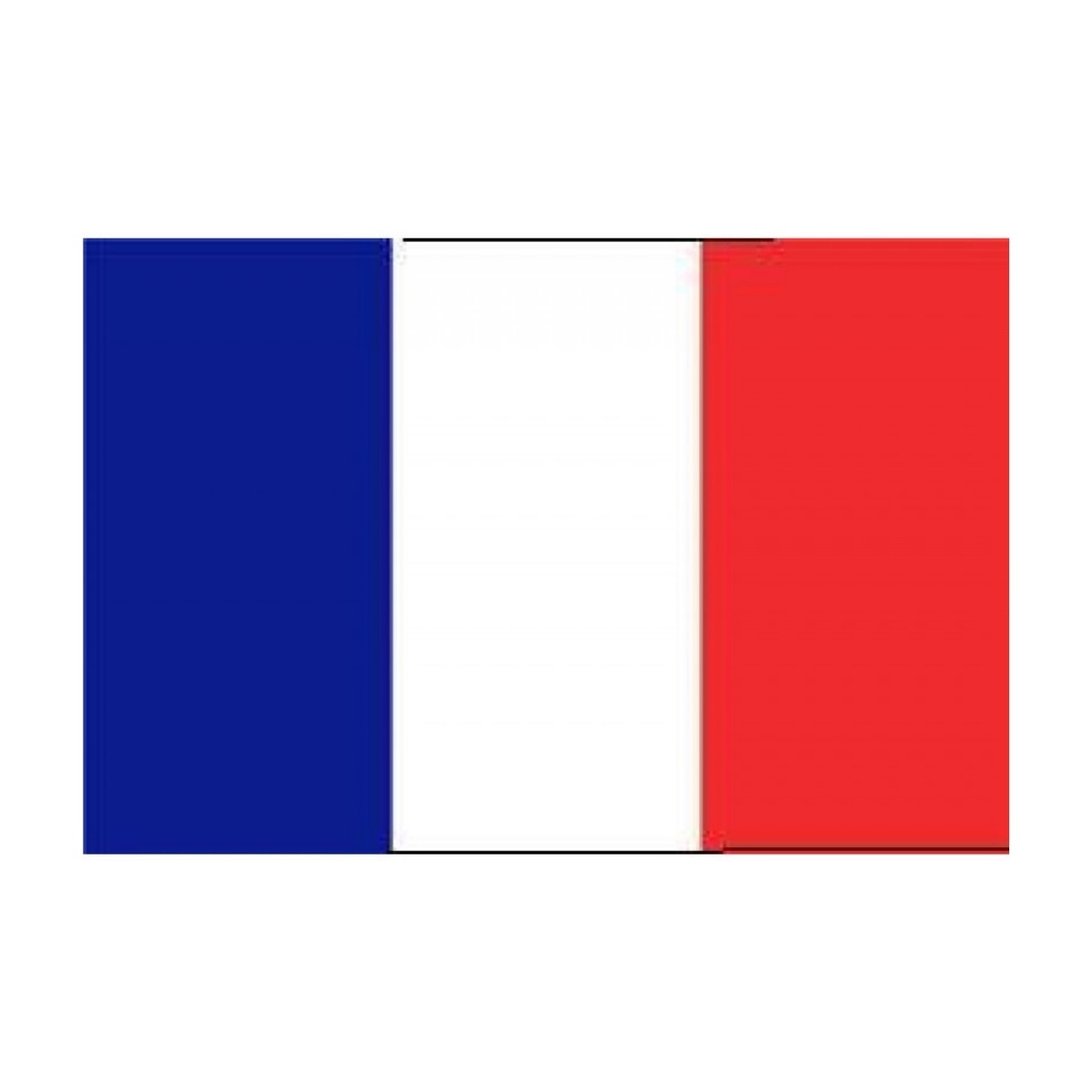 BAYRAK FRANSA 50*75
