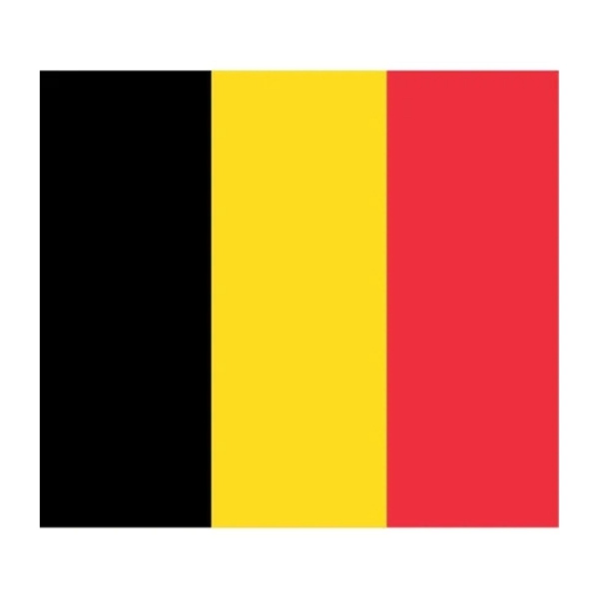 BAYRAK BELÇİKA 50*75 DÜZ