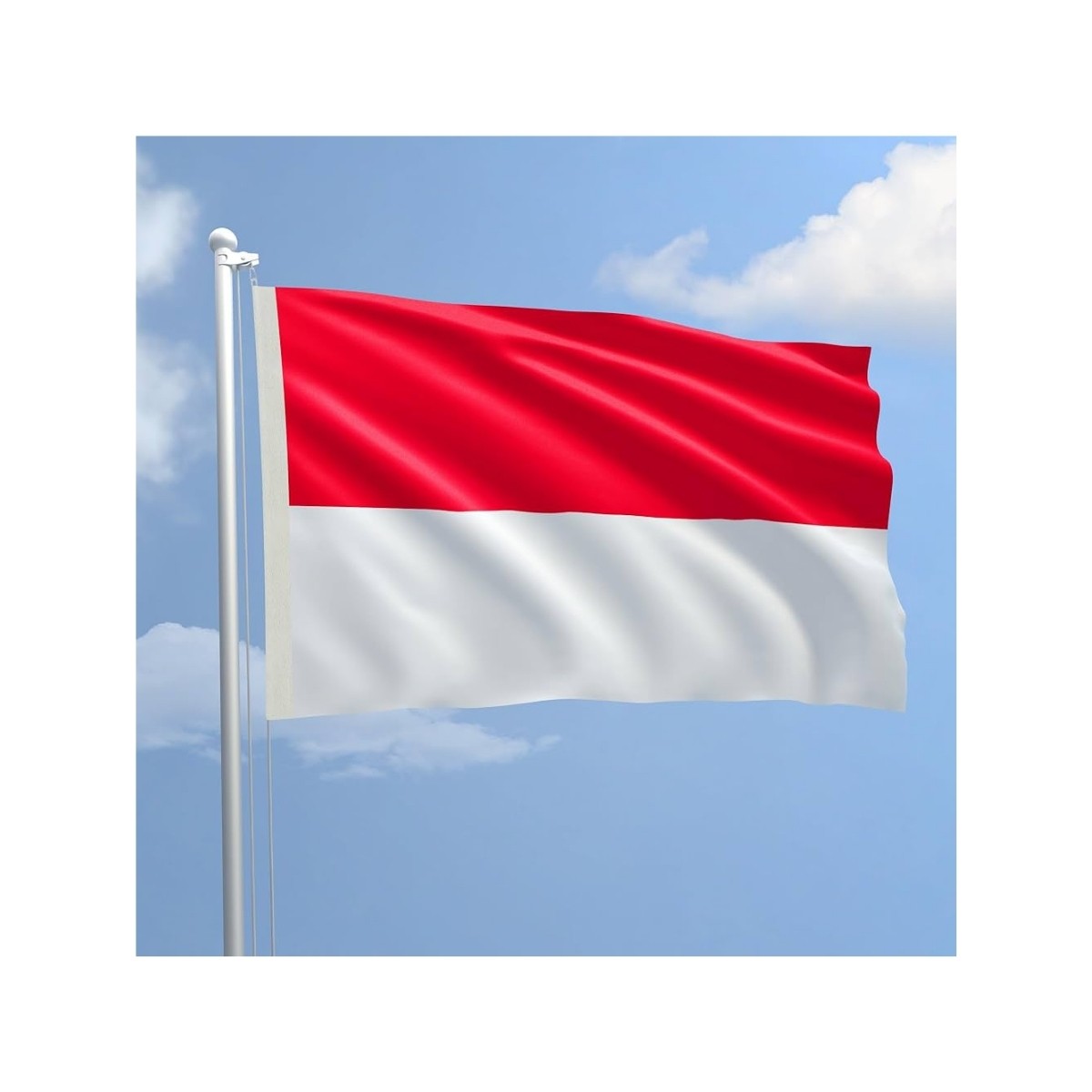 BAYRAK MONACO 70*105