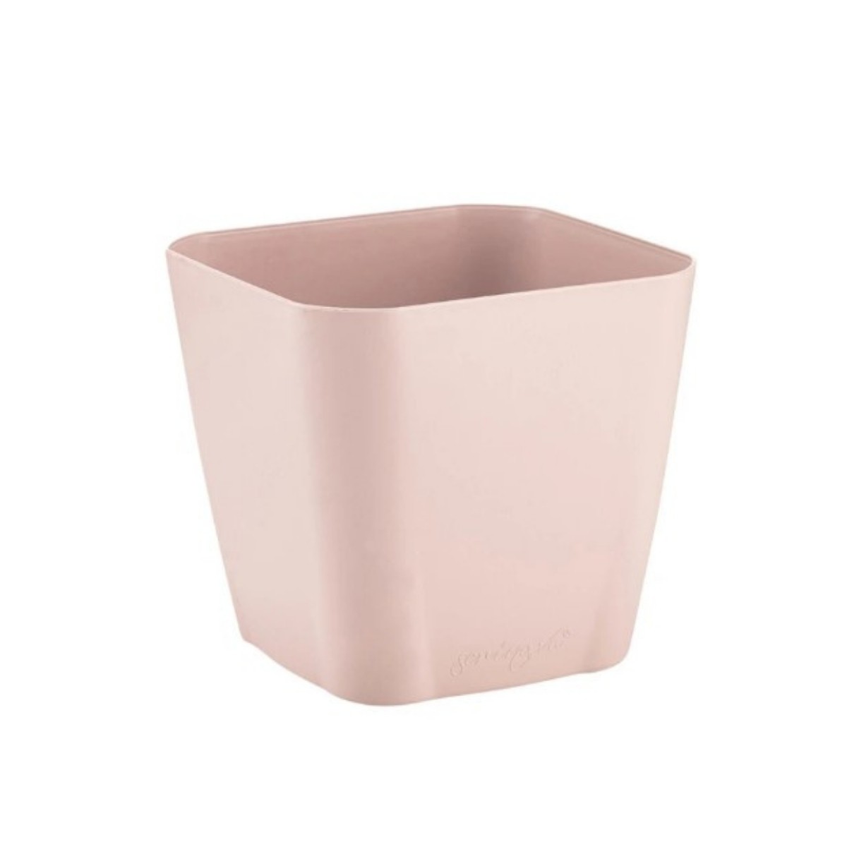 Serinova Safir Saksı Gövde 2 No Gül Kurusu