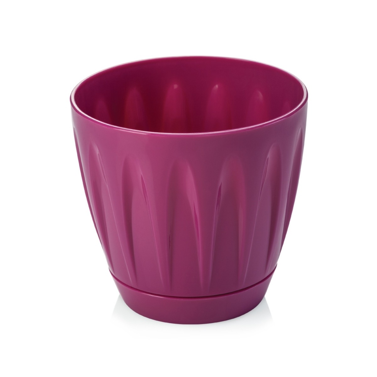 Serinova Papatya Saksı 6 No Takım Vişne