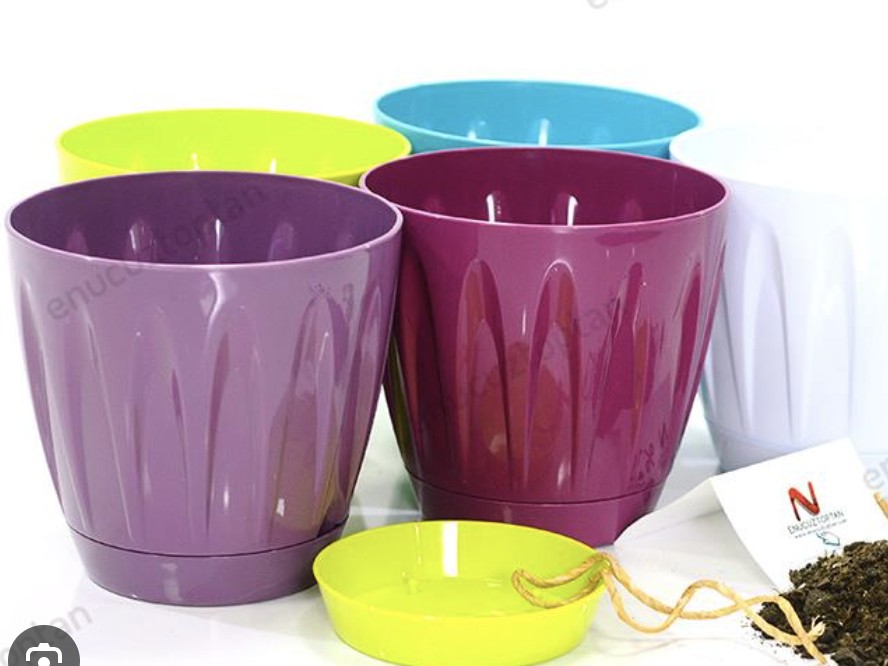 Serinova Papatya Saksı 5 No Takım Gök Mavi