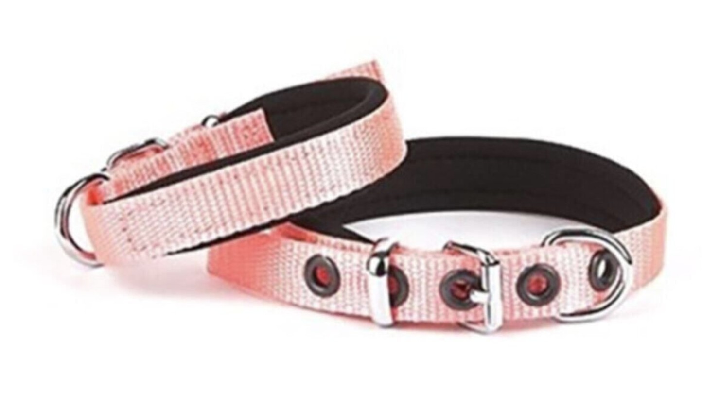 Doggie Premium Köpek Tasması-Kemeridsbt1510spınk)1,5*20-25cm pembe