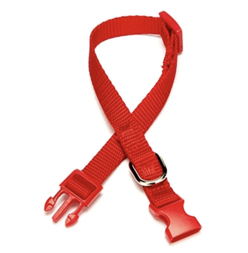 Doggie Premium Köpek Tasması-Kemeri(dabt1010mred)1*20-30 cm kırmızı