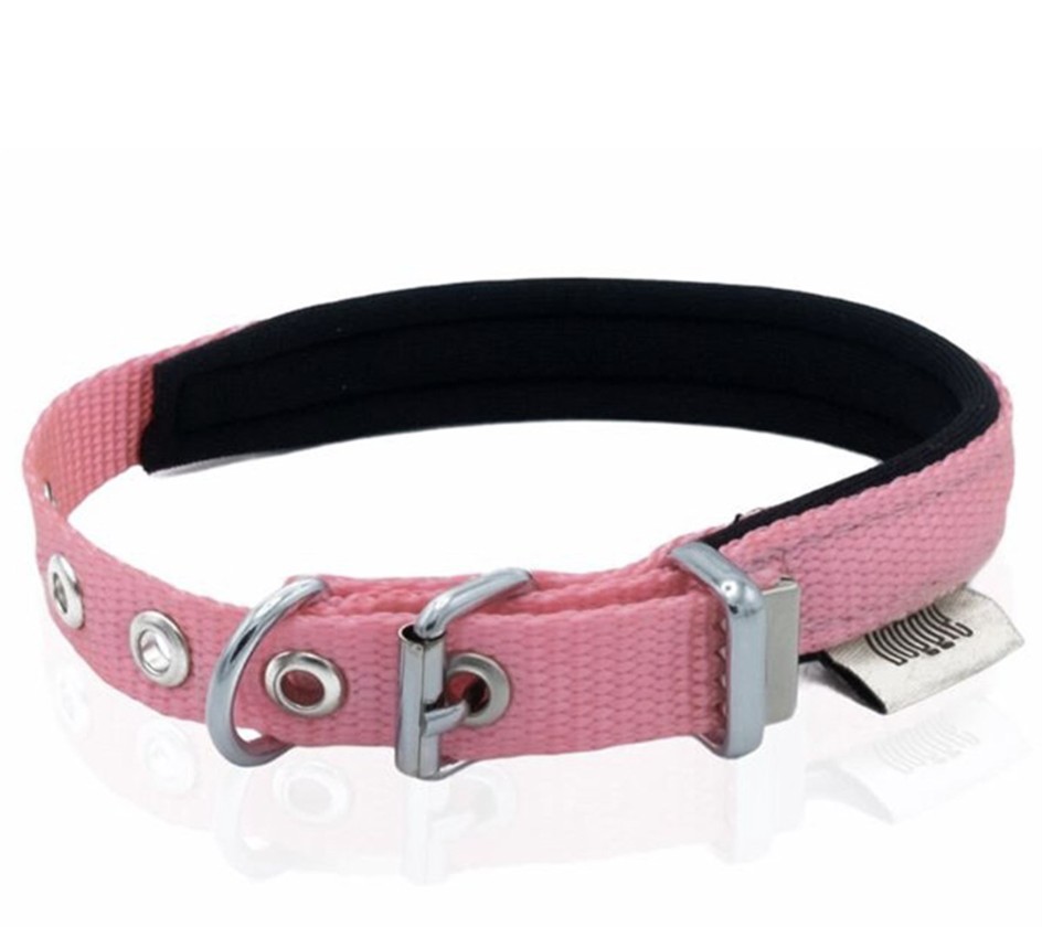 Doggie Premium Köpek Tasması-Kemeri(dabt1010mpınk)1*20-30cm pembe