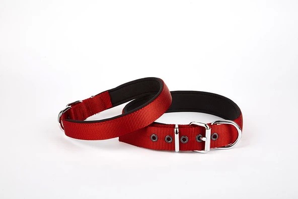 Doggie Premium Köpek Tasması‑Kemeri (DSBT1510S Red) 1,5×20‑25 Cm Kırmızı