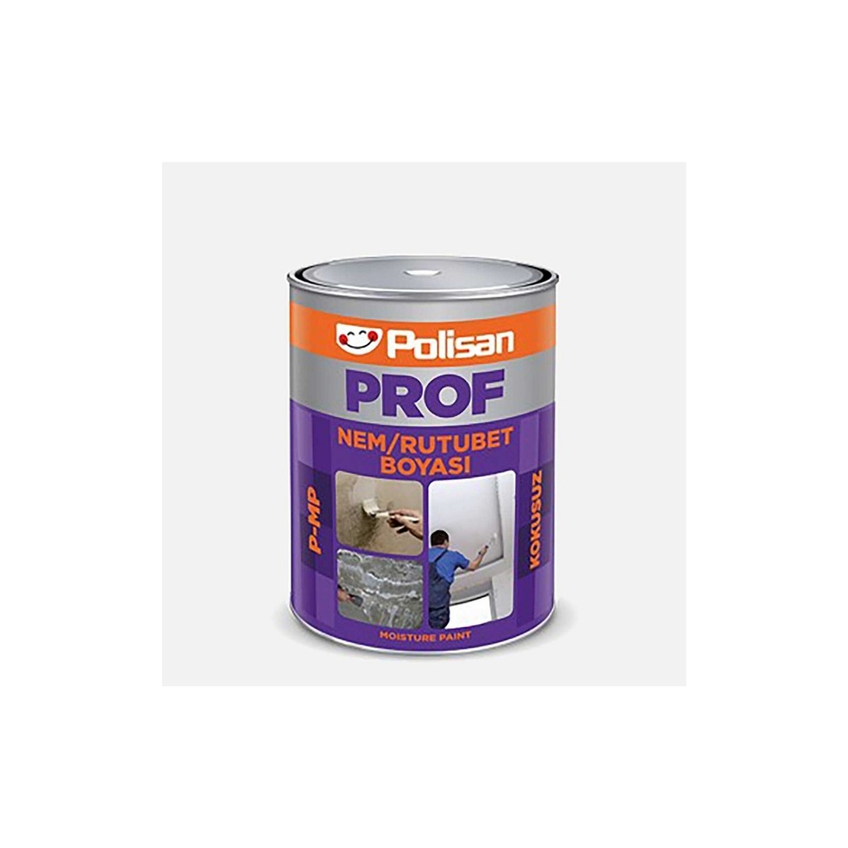 Polisan Nem Ve Rutubet Boyası Galon