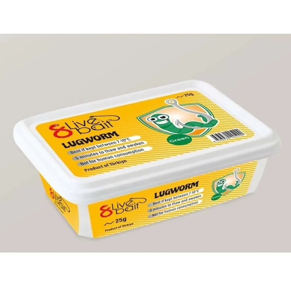 Canlı Çin Kurdu ''lugworm''