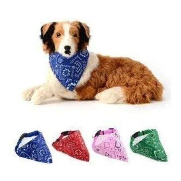 Lionpet Köpek Boyunluk Mavi-pembe-kırmızı