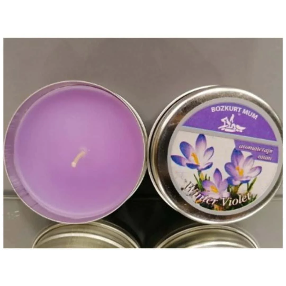 Bozkurt Mum Winter Violet Kokulu Teneke Mum 120 Gr
