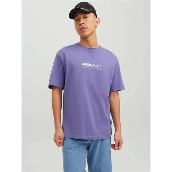 Jack & Jones Orıgınals Baskı Erkek T-Shirt- Mor 2XL Beden