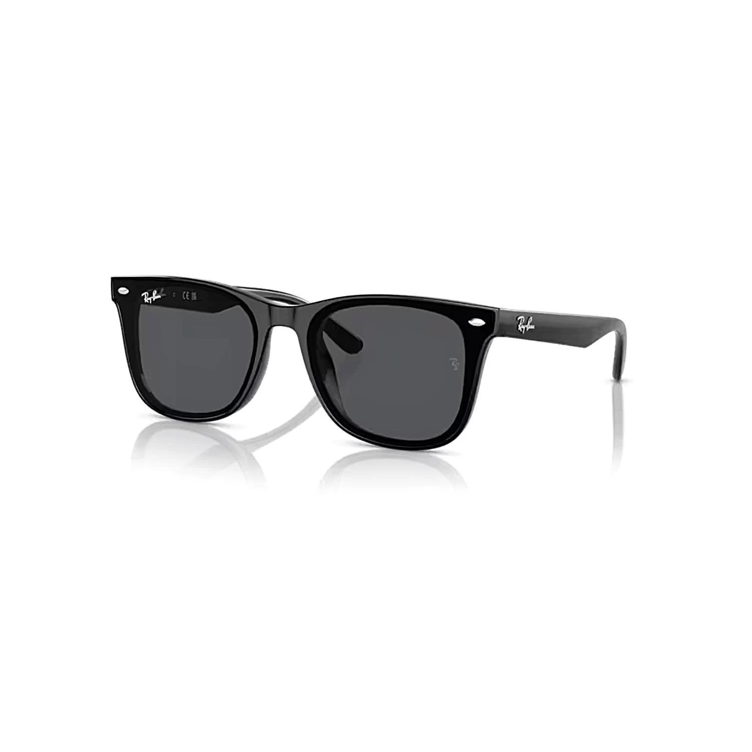 Ray-Ban RB 4420 60187 65 Unisex Kare Siyah Kemik Güneş Gözlüğü
