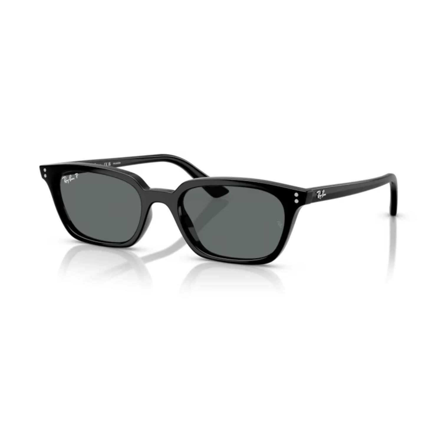 Ray-ban Rb 4456 667781 53 Polarize Zaya Unisex Yastık Siyah Kemik Güneş Gözlüğü