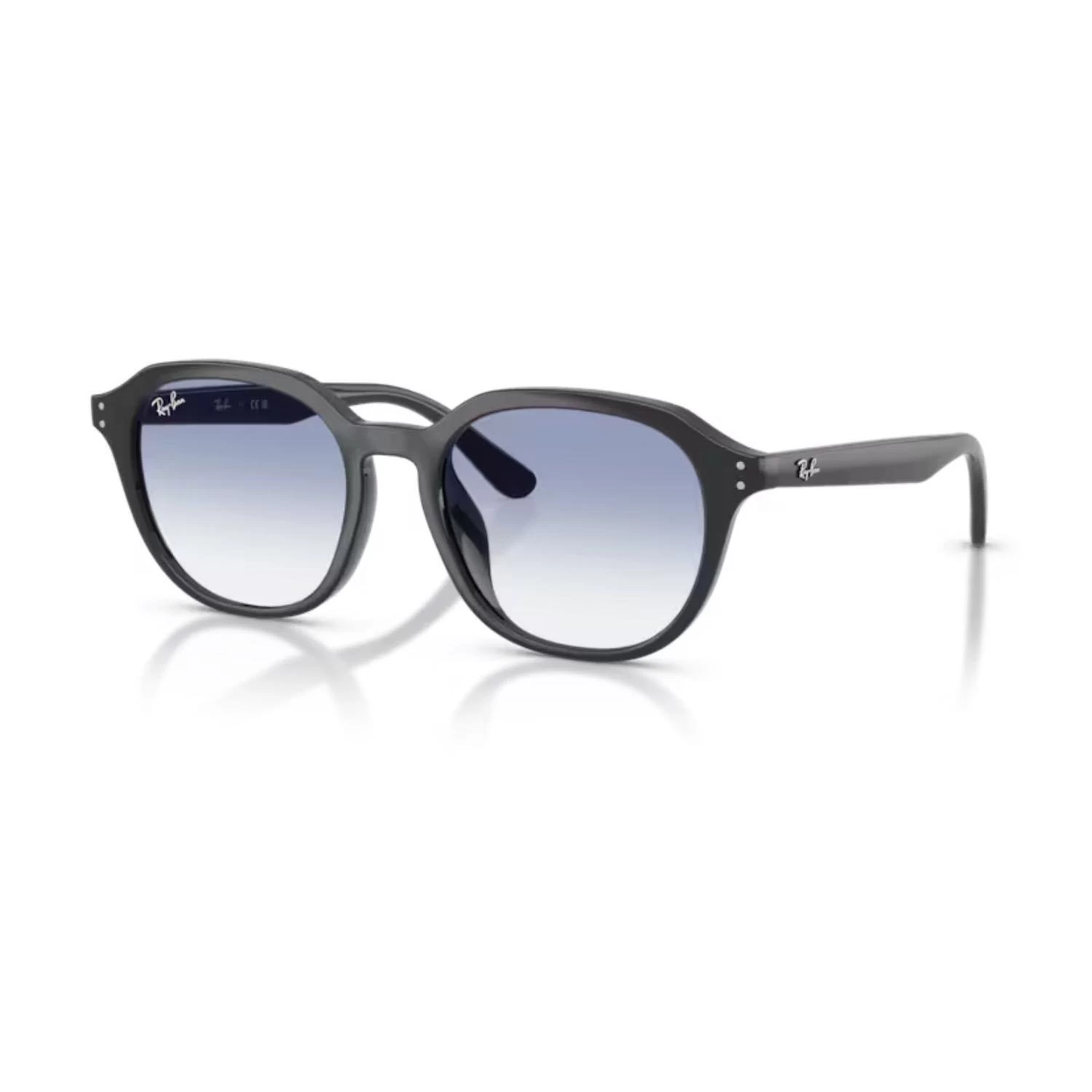 Ray-Ban RB 4459D 623019 54 Unisex Oval Siyah Kemik Güneş Gözlüğü