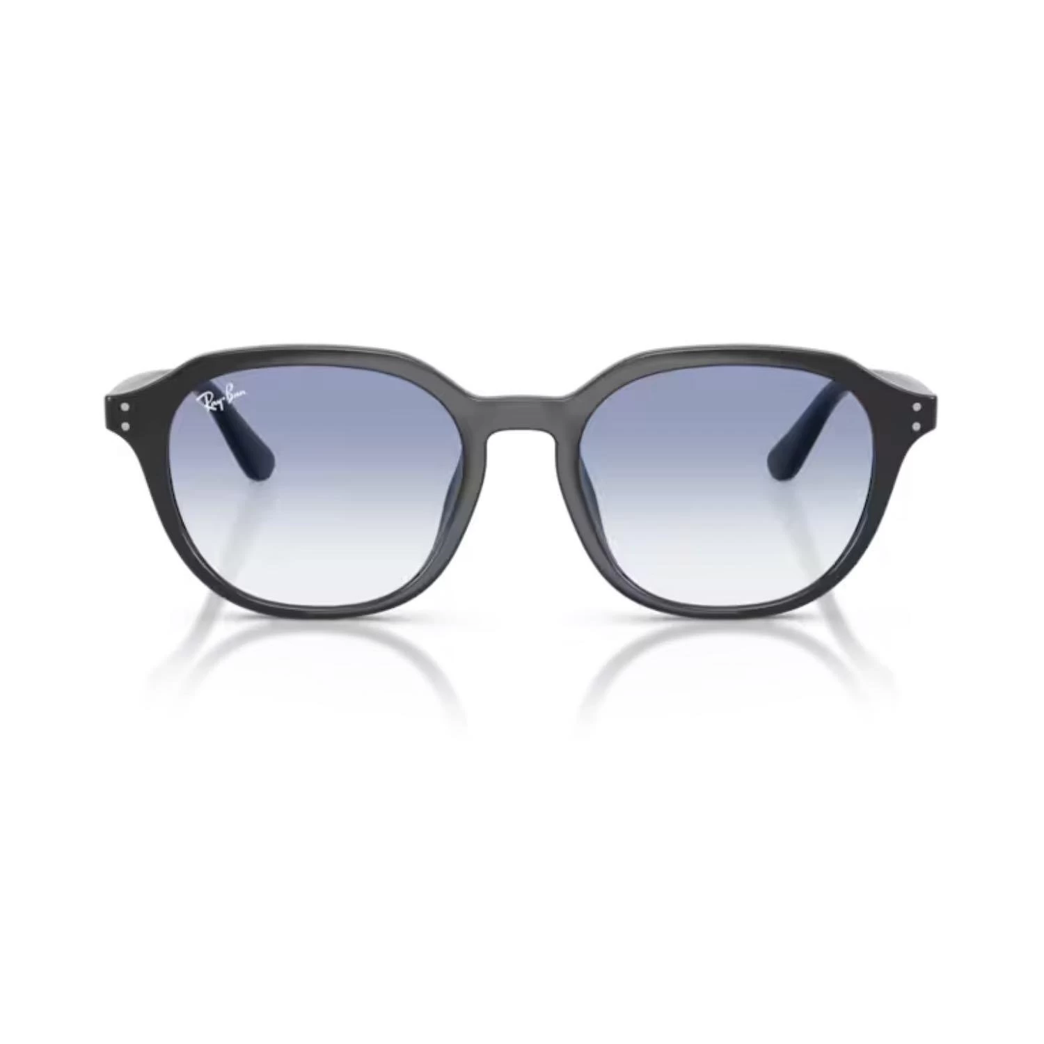 Ray-Ban RB 4459D 623019 54 Unisex Oval Siyah Kemik Güneş Gözlüğü