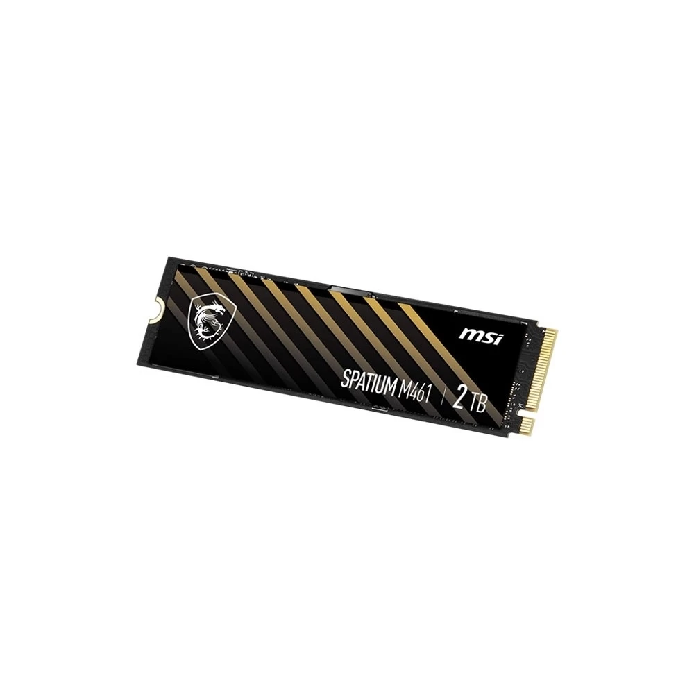 Msı Spatıum M461 2Tb Pcıe 4.0 Nvme M.2 Ssd