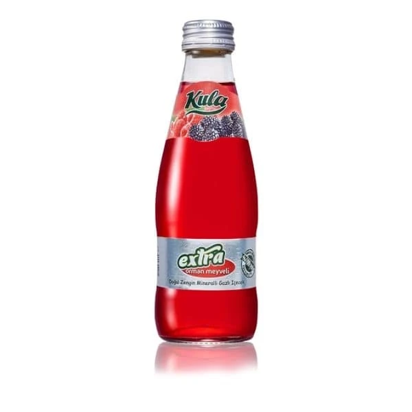 Kula Maden Suyu Orman Meyveli 200mlx24'lü Paket