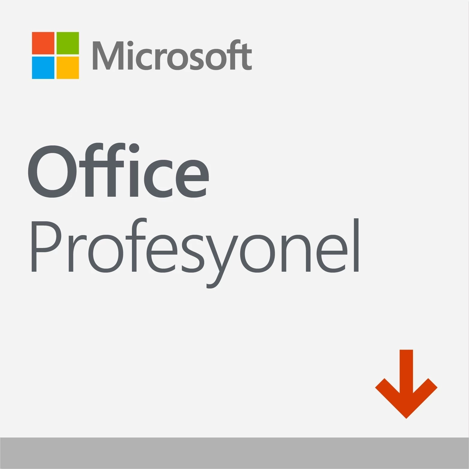 Microsoft Office Pro 2021 - Esd 269-17190