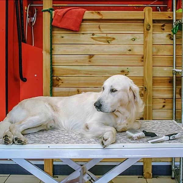 Ferplast Gro 5762 Premium Çift Taraflı Kedi Ve Köpek Tüy Tarama Fırçası Small