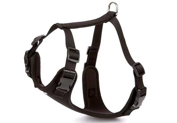 Doggie Havalı Dokuma Köpek Göğüs Tasması Medium Siyah 2x45-55 Cm