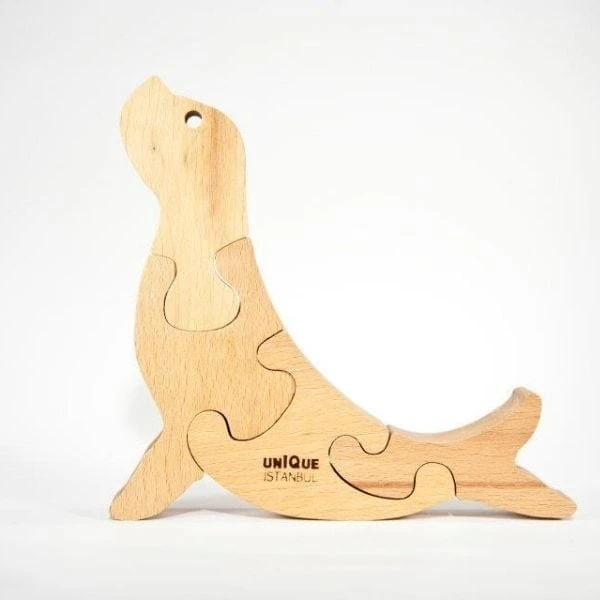 Unique Denizlerin Sanatçısı Fok