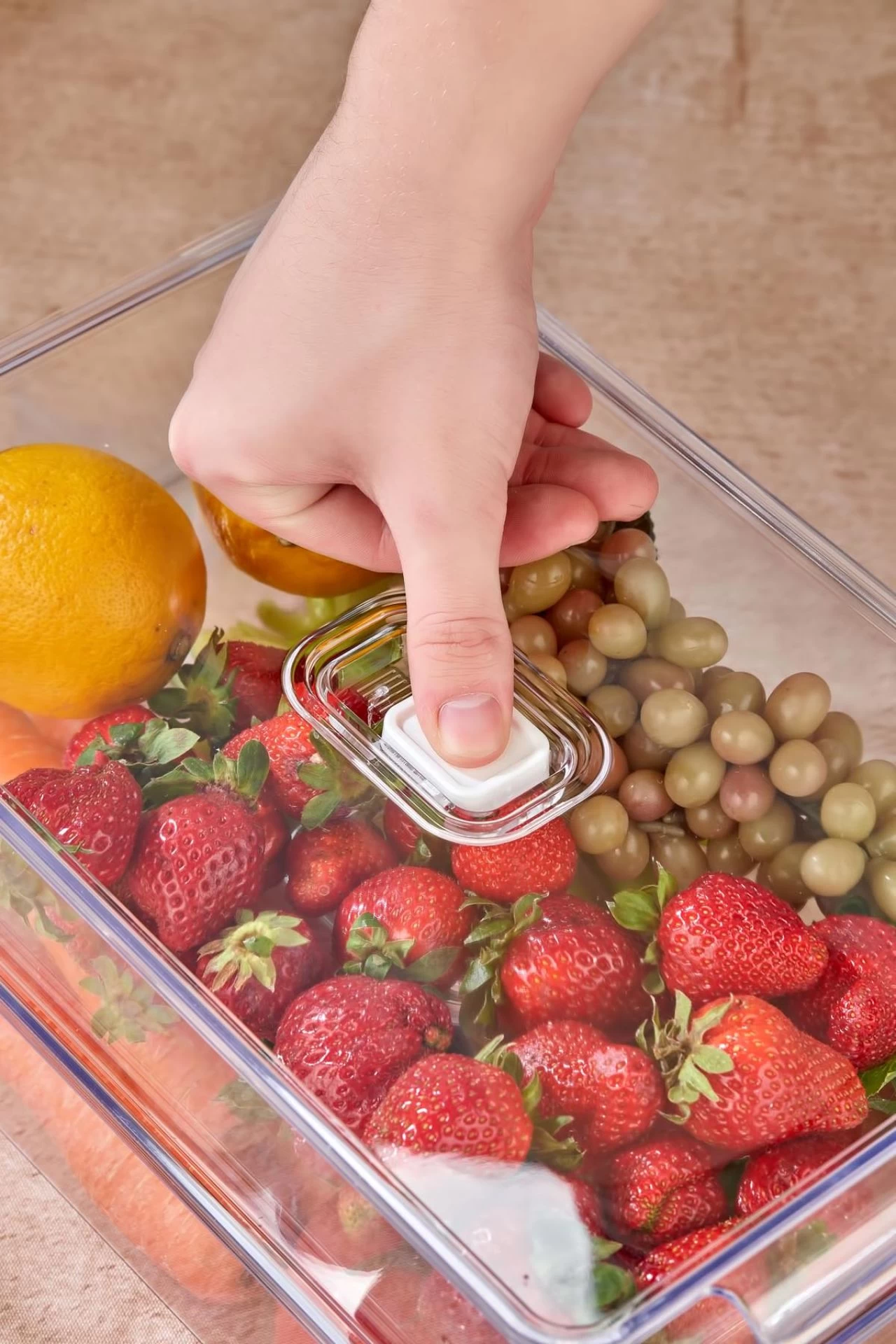 2'li Orta Boy Vakum Düğmeli Kapaklı Dolap İçi Organizeri & Kırılmaz Düzenleyici Kutu (4,5lt)