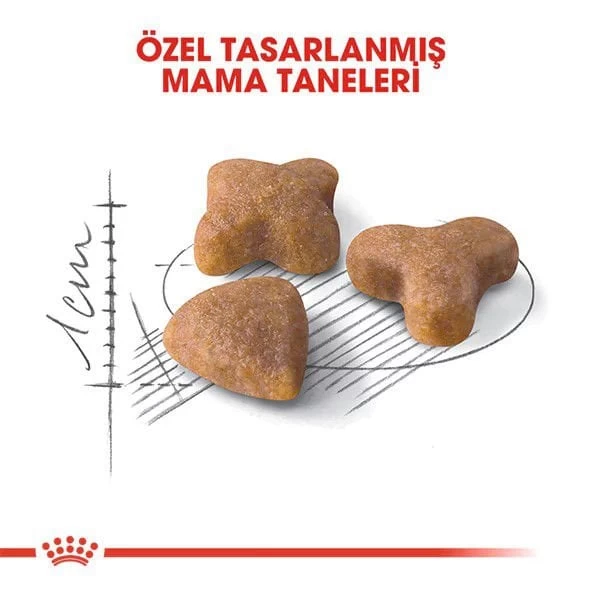 Royal Canin Sensible 33 Hassas Yetişkin Kedi Maması 400 Gr