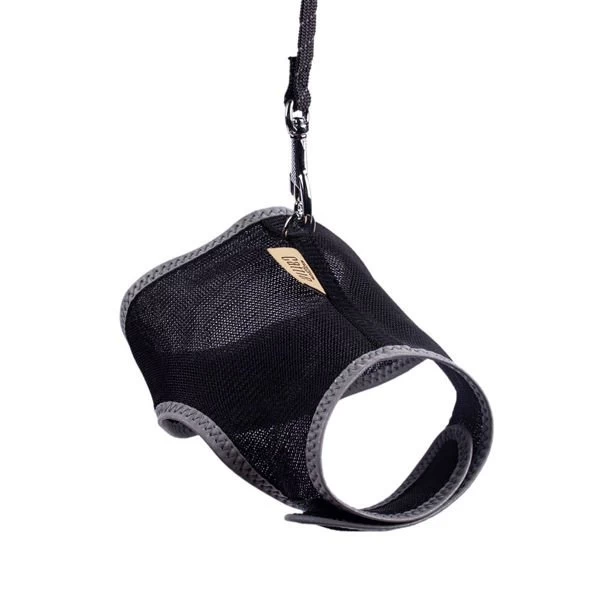 Cattie Havalı Dokuma Kedi Göğüs Ve Gezdirme Takımı Small Siyah 1x20-30 Cm